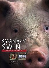 Sygnały świń