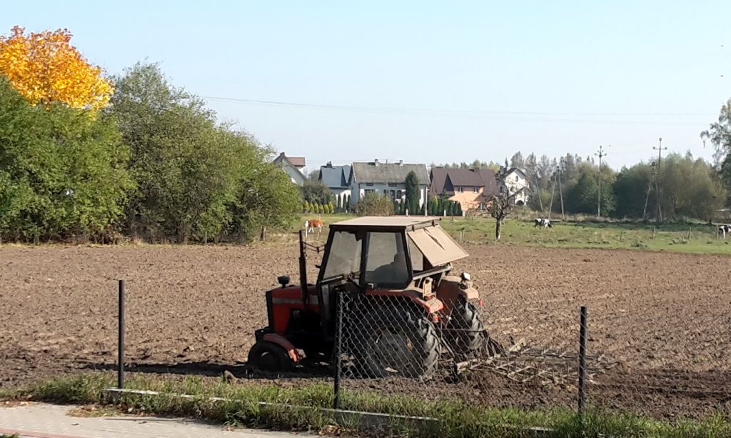 rozwój małych gospodarstw, praca w polu