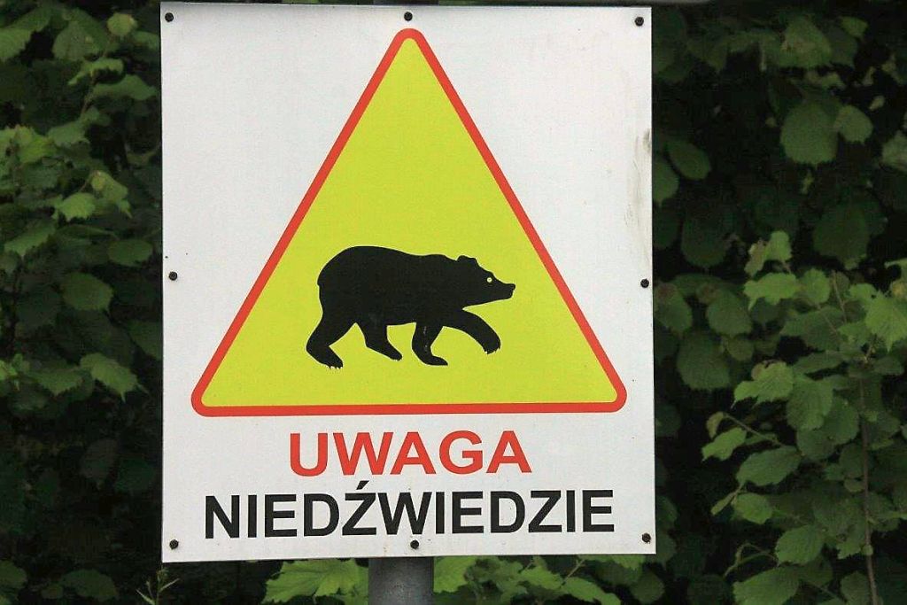 rolnicy wilki, niedźwiedzie