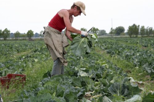 agro-park, lublin, targi rolnicze