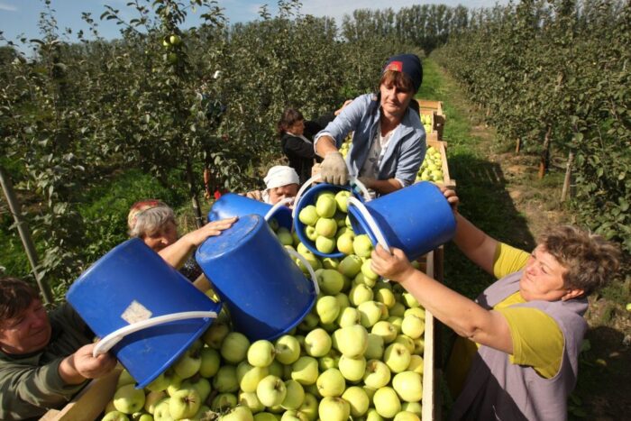agro-park, lublin, targi rolnicze