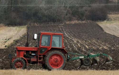 agrobiznes, rolnictwo, dekoniunktura w polskim rolnictwie