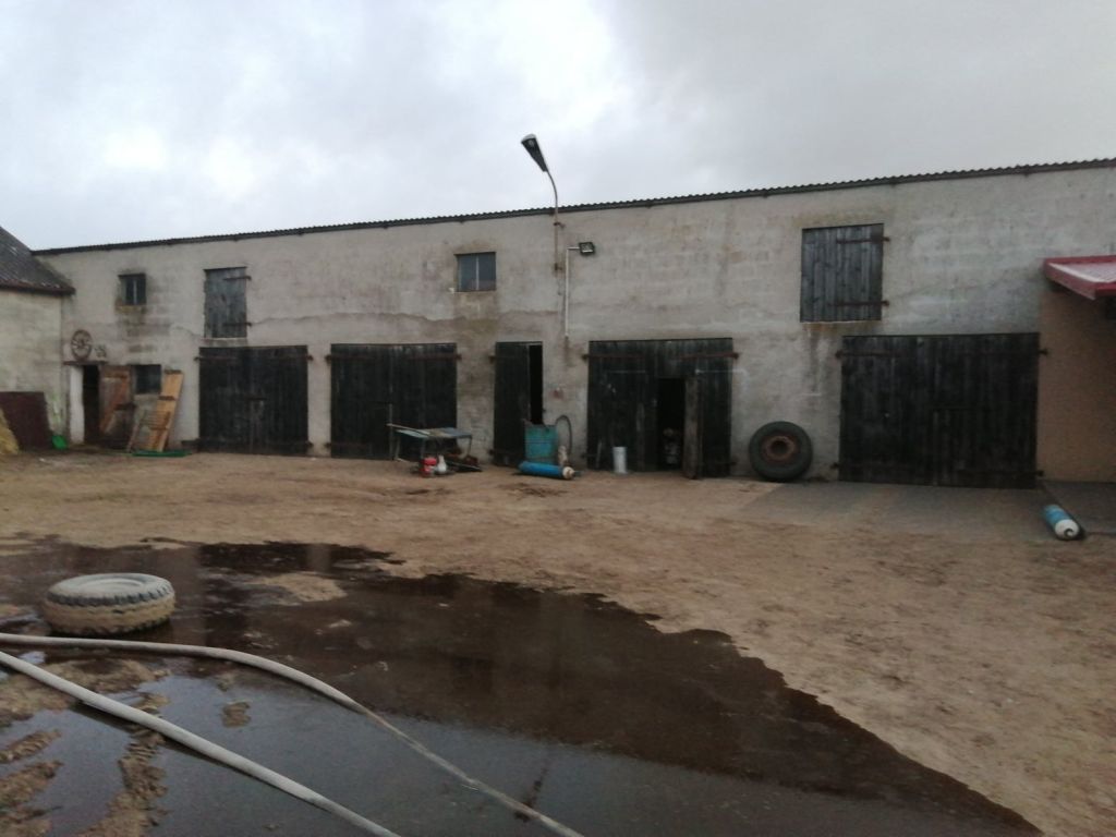 pożar kurnika, Bielice, gmina Biskupie, KP PSP Nowe Miasto Lubawskie