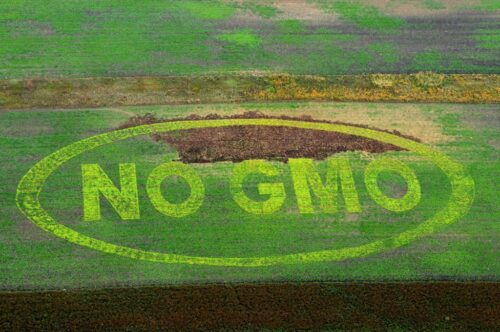 GMO,Parlament Europejski,prawo,KE,UE