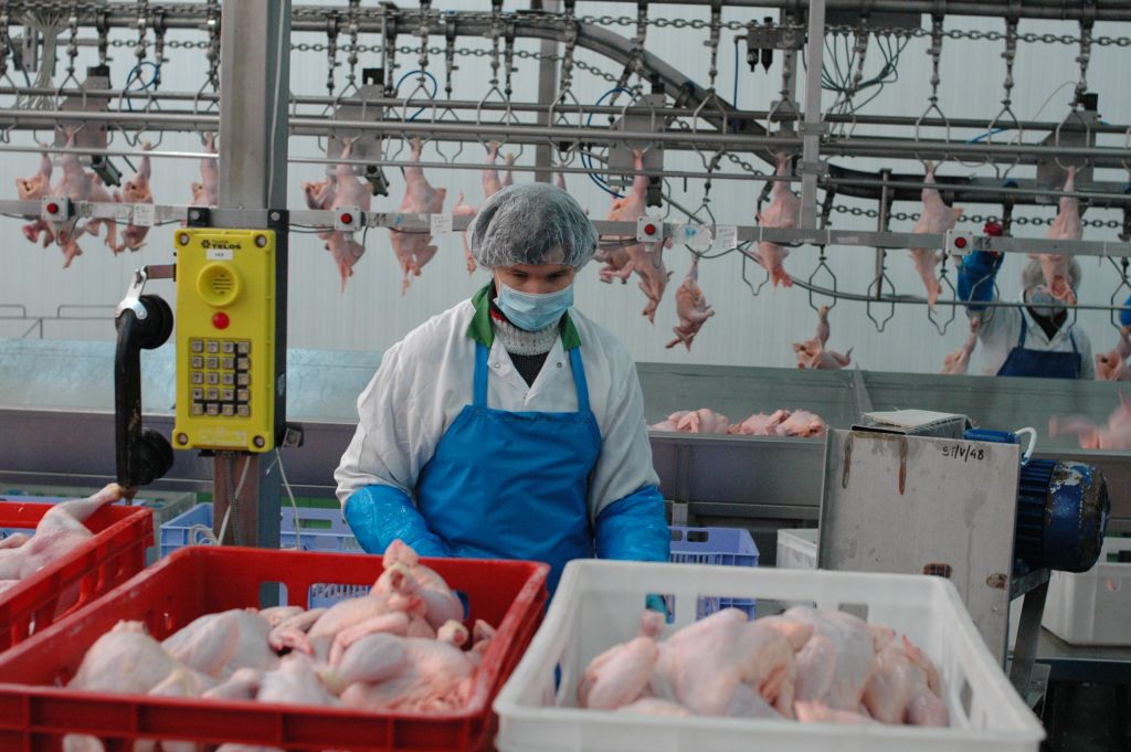 mięso drobiowe, podroby drobiowe, eurostat