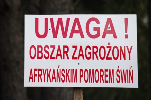 asf_pomor