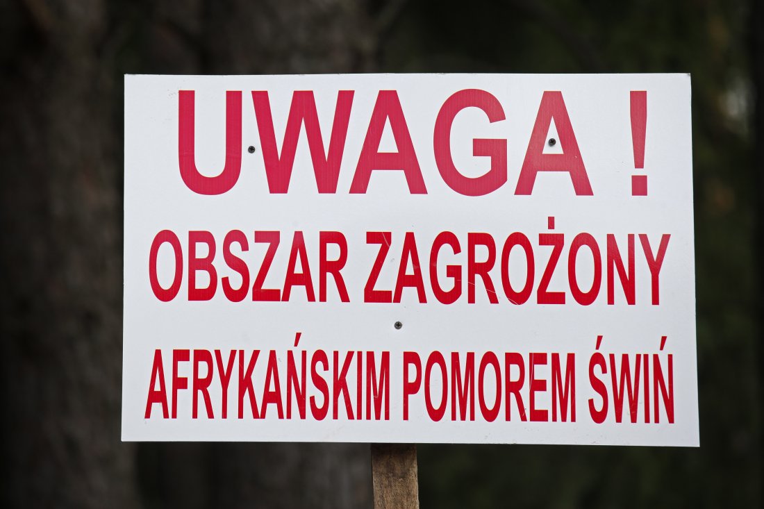 asf_pomor