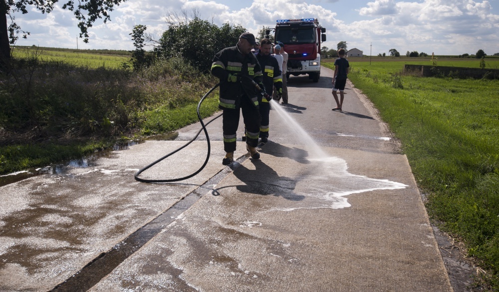 afrykański pomór świń, asf, zespół do walki z asf, krzysztof jurgiel