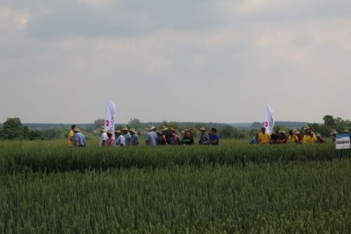 Timac Agro Polska