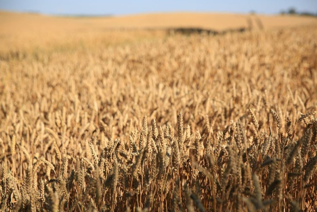 Prace nad projektem ustawy o ochronie gruntów rolnych zostały wstrzymane