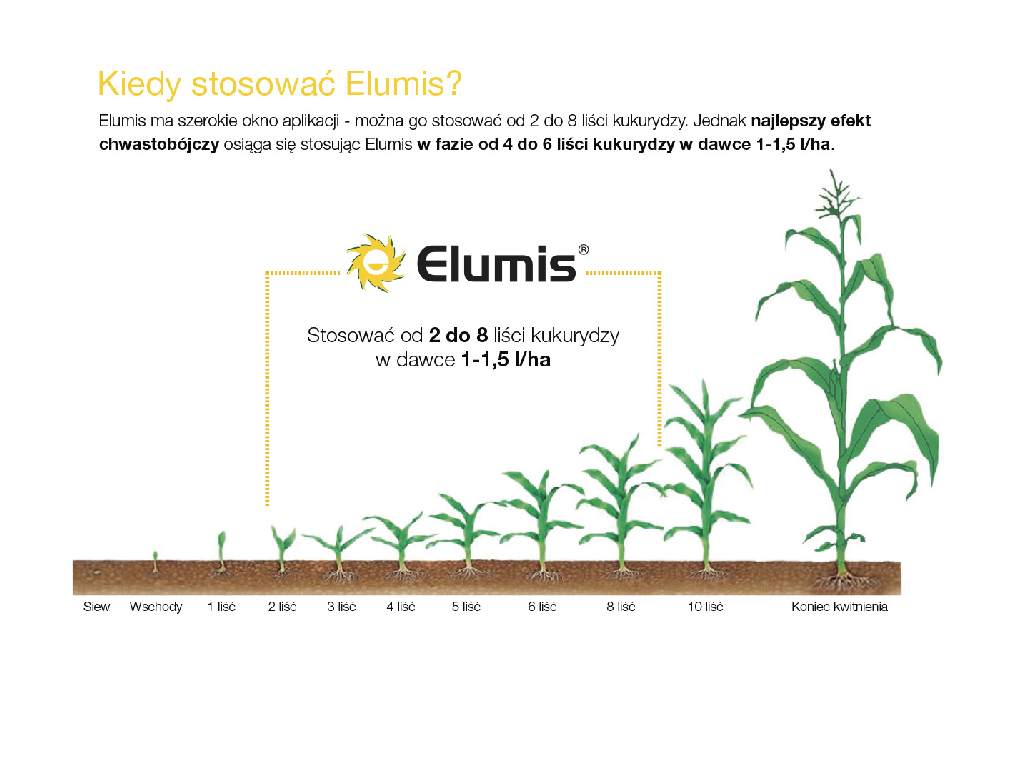 terminy stosowania elumis