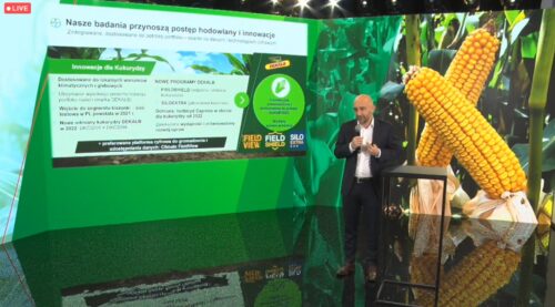 spotkania polowe firmy Bayer, Strzeszkowice Duże, rzepak ozimy Dekalb