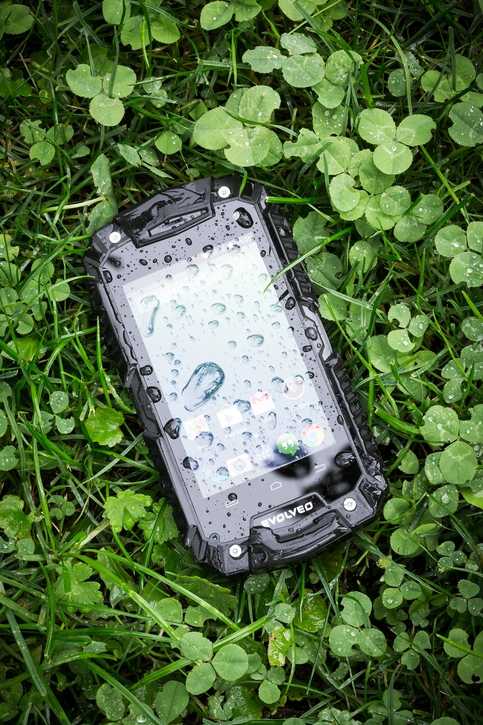 Evolveo Stronphone D2 Mini