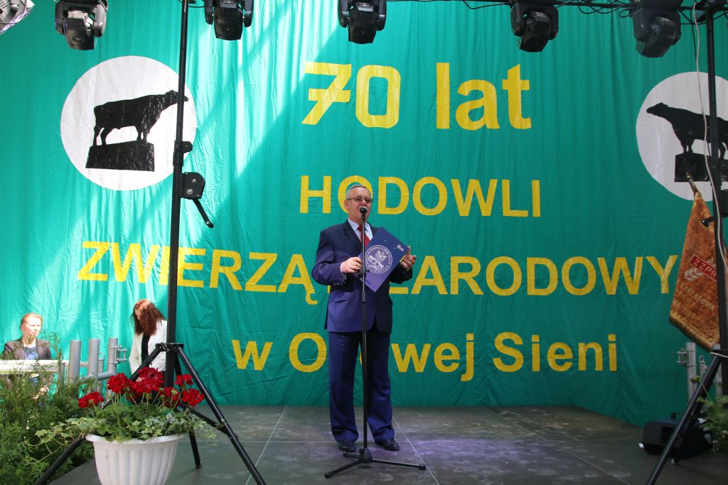 Osowa Sień bydło
