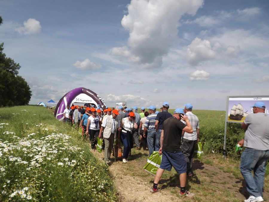 syngenta_jankowice