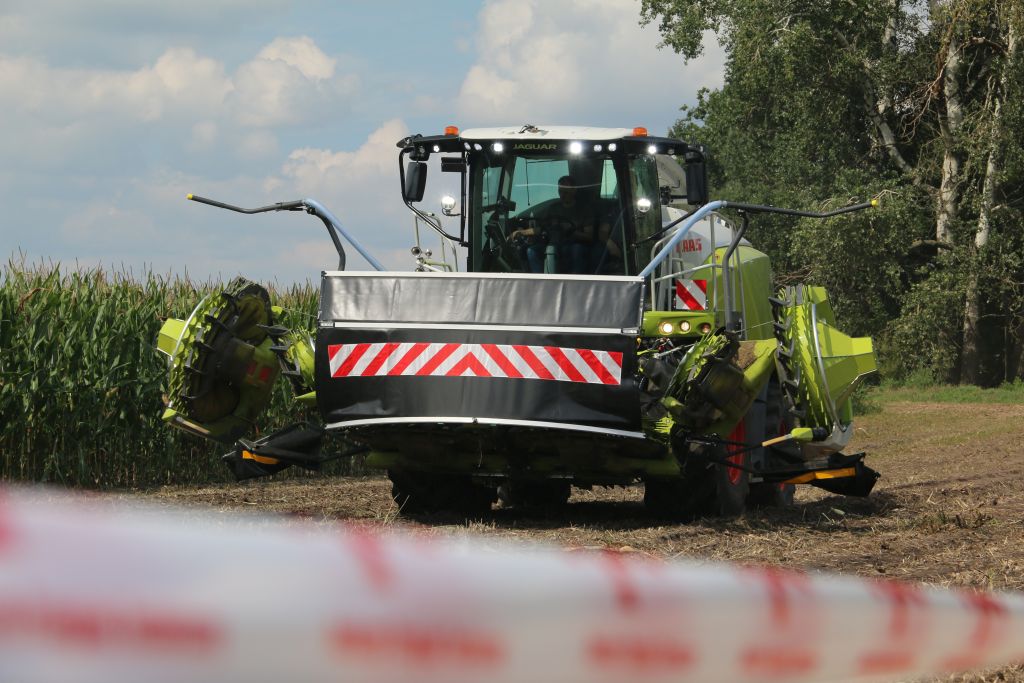 Krajowy Dzień Kukurydzy, Garzyn, kukurydza, sieczkarnia, Claas