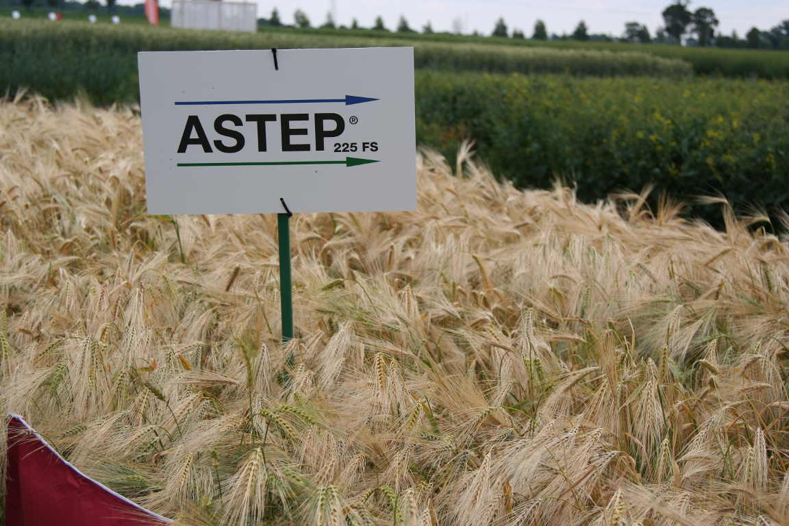 zaprawa_astep