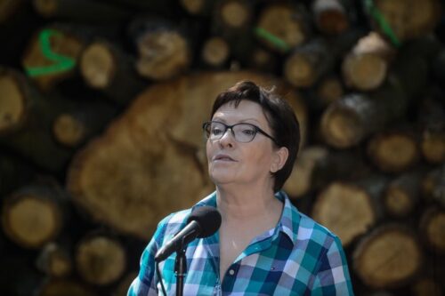susza rolna, stan kleski żywiołowej, ministerstwo rolnictwa, ewa kopacz