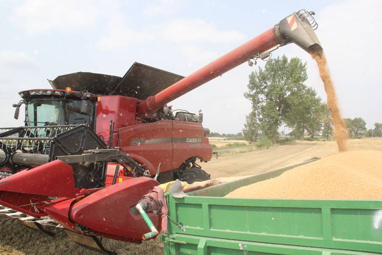 Demo Tour Case IH 2015 - kombajn Case IH 8240