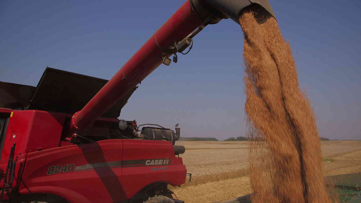 syngenta_case_ih_nowoczesne fungicydy3