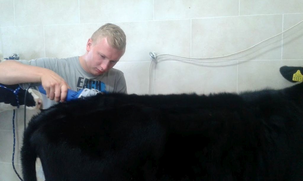 fitting_mlody_hodowca_szkolenie