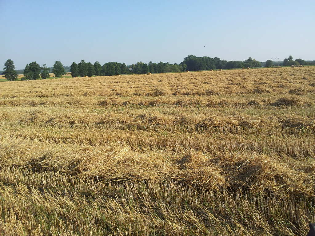 produkcja bioetanolu, słoma zbóż, Grupa Orlen, Orlen Południe