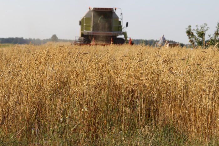 pkb, produkt krajowy brutto, wzrost gospodarczy, gospodarka, gus, główny urząd statystyczny