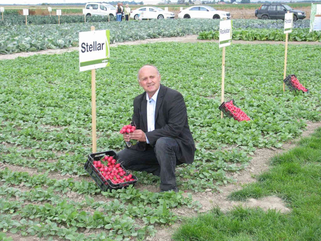 syngenta_warzywa_polowe_pokazy