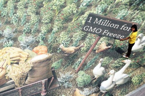 GMO,Parlament Europejski,prawo,KE,UE