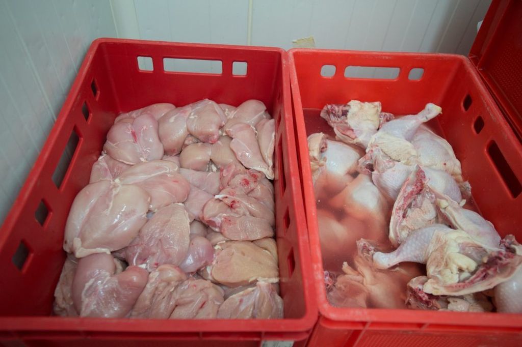 Instytut Ekonomiki Rolnictwa i Gospodarki Żywnościowej, spożycie mięsa drobiowego, drób,