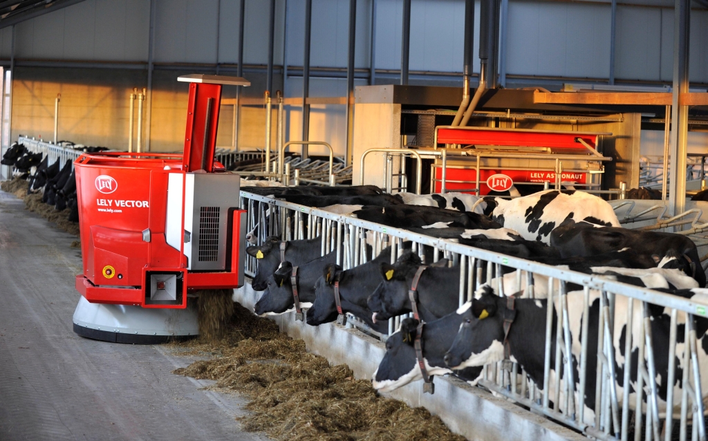 lely, krowy mleczne, lely vector, robot udojowy