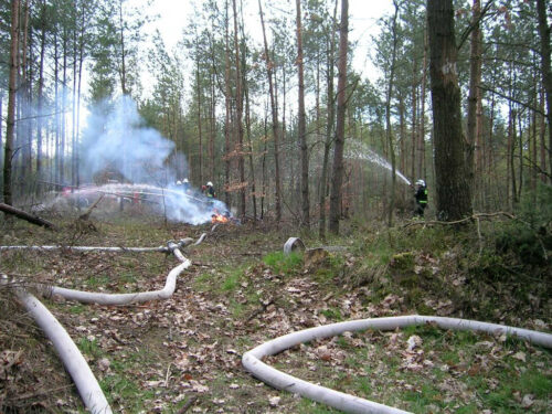 pożary lasów, regionalna dyrekcja lasów, białystok