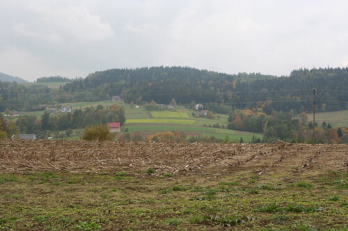 nawożenie, NIK, raport, gleba, uprawa, badanie gleby
