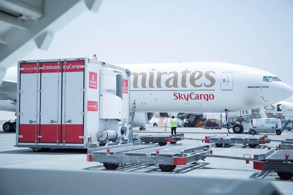 transport, żywność, ryby, Azja, Emirates SkyCargo, samolot