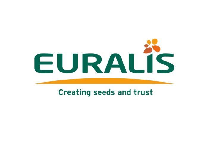 euralis, kukurydza, hodowcy, rośliny