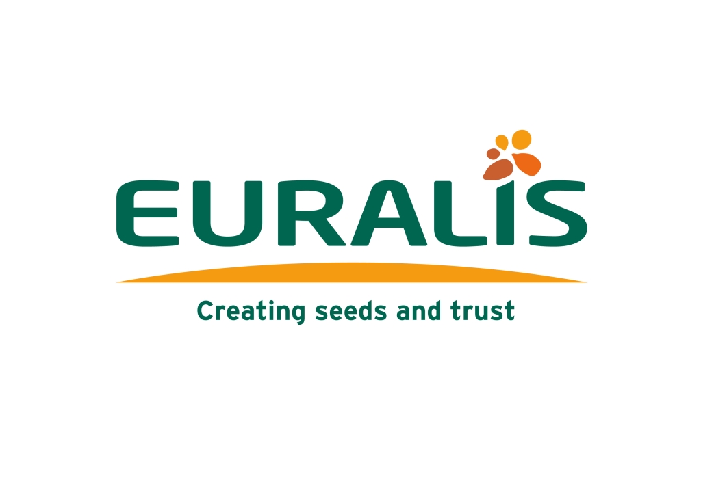 euralis, kukurydza, hodowcy, rośliny