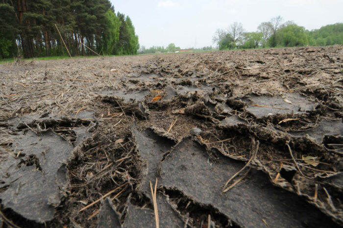 gnojowica, nawozy naturalne, obornik, nawożenie