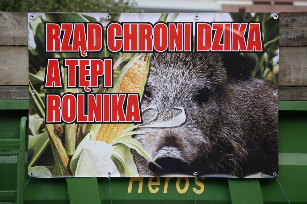 nowela prawa łowieckiego, szacowanie szkód łowieckich, robert telus