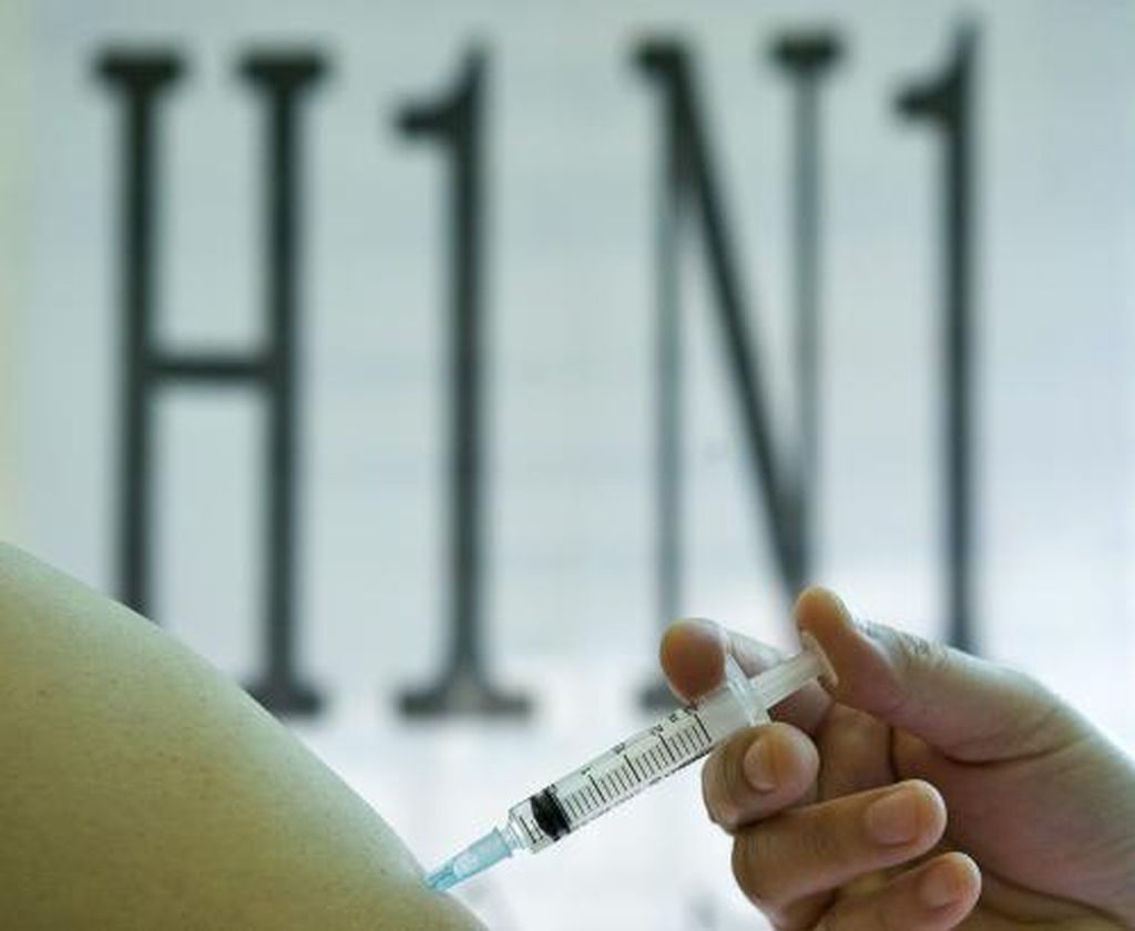 świńska grypa, armenia, wirus H1N1, Anahit Hajtajan