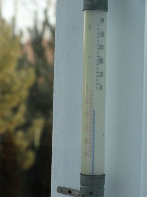 przymrozki, oziminy, temperatura, stan upraw