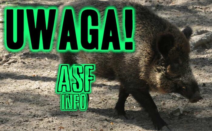ASF informacja