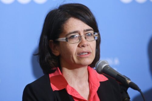 Anna Streżyńska, cyfryzacja, Polska Cyfrowa