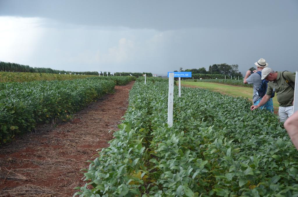 Timac Agro Polska, Panorama pól Timac Agro Polska, Śrem, biostymulatory