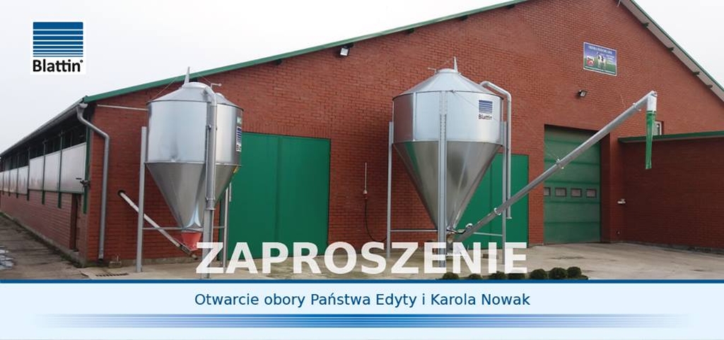 blattin, bydło mleczne, obora, wozy paszowe
