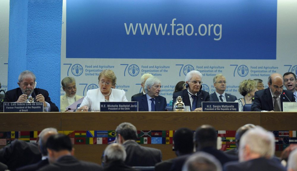 Indeks światowych cen żywności, FAO, mięso, zboża, cukier, oleje