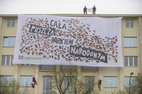 greenpeace, puszcza białowieska, robert cyglicki, jan szyszko