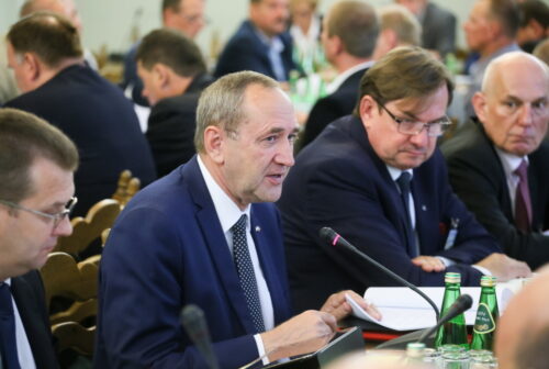 afrykański pomór świń, asf, zespół do walki z asf, specustawa o asf