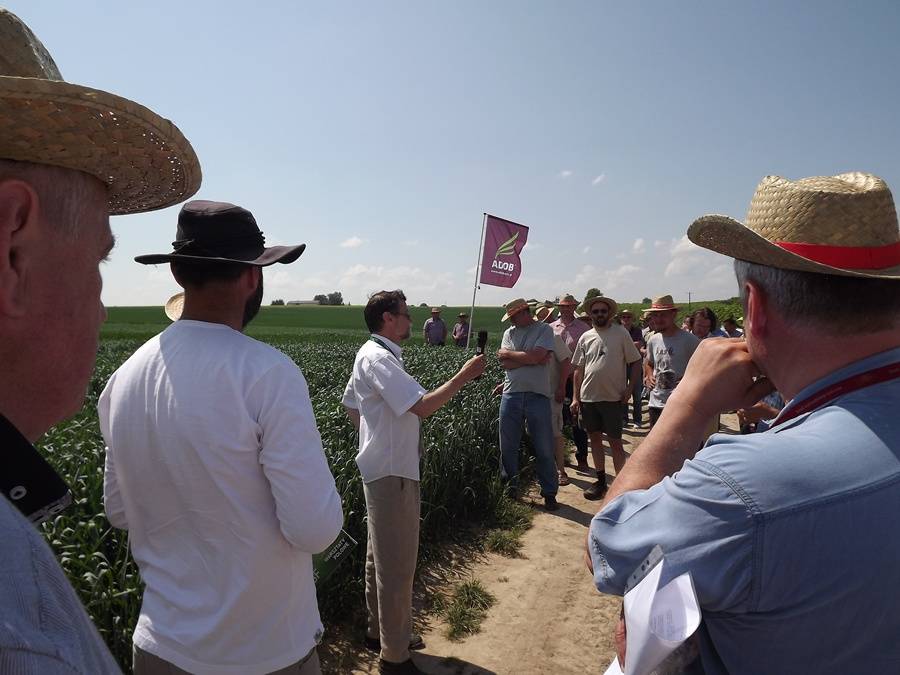 Agro Akademia BASF 2016, BASF, Kolonia Siedliszczki, lubelskie, ADOB, Ligmagrain Polska, K+S, John Deere Polska, uprawa