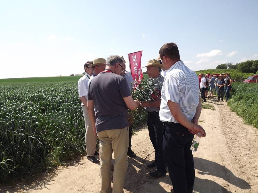 Agro Akademia BASF 2016, BASF, Kolonia Siedliszczki, lubelskie, ADOB, Ligmagrain Polska, K+S, John Deere Polska, uprawa