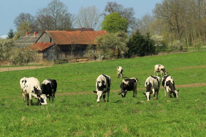 agroturystyka, warmia i mazury, Polska Federacja Turystyki Wiejskiej